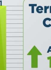 Forças de Segurança do Ceará apreendem 7.221 armas em 2025; são cerca de 20 armas confiscadas por dia